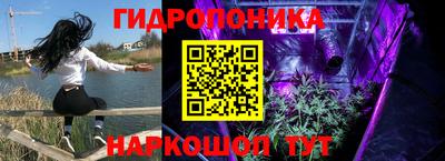 ALPHA PVP Канаш